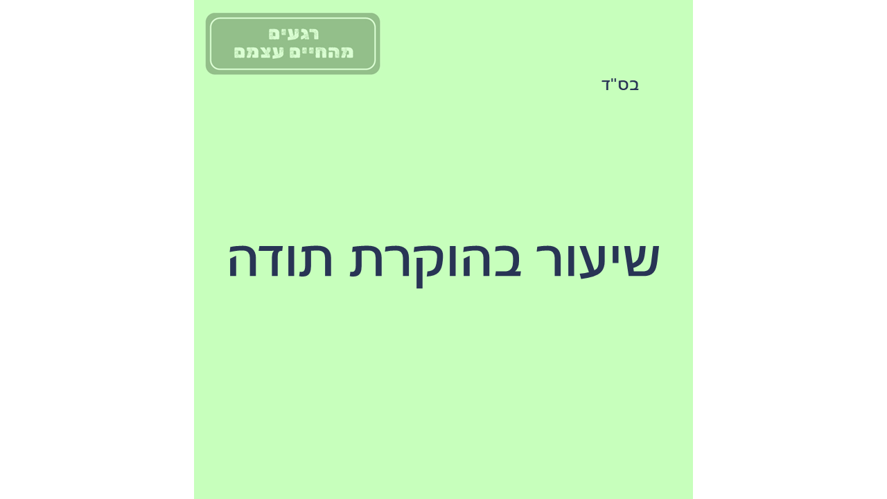 טפלטים חדשים